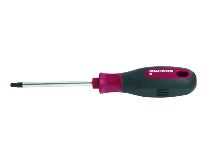 Schroevendraaier-Torx-T30