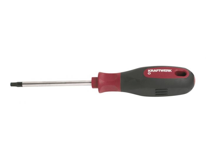 Schroevendraaier-Torx-T40