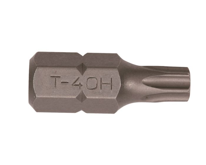 Bit-Torx-10-mm-T-25-met-stiftgeleiding