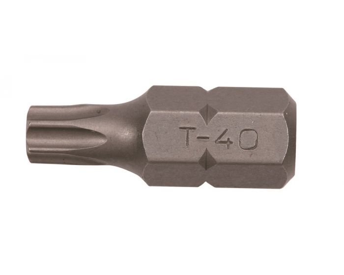 Bit-Torx-10-mm-T-25