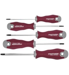 Schroevendraaierset-Torx-5-delig