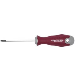 Schroevendraaier-Torx-T25