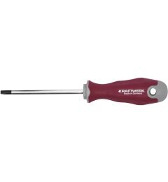 Schroevendraaier-Torx-T40