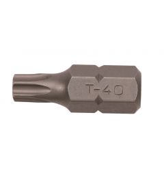 Bit-Torx-10-mm-T-25